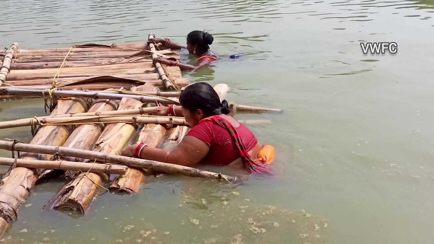 Traditional net fishing by village women   Village