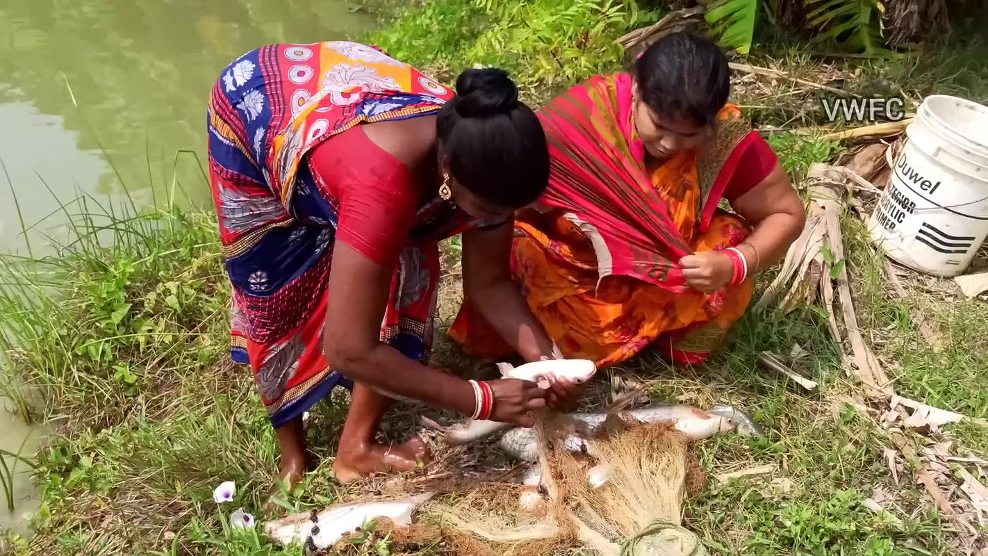 Traditional net fishing by village women   Village