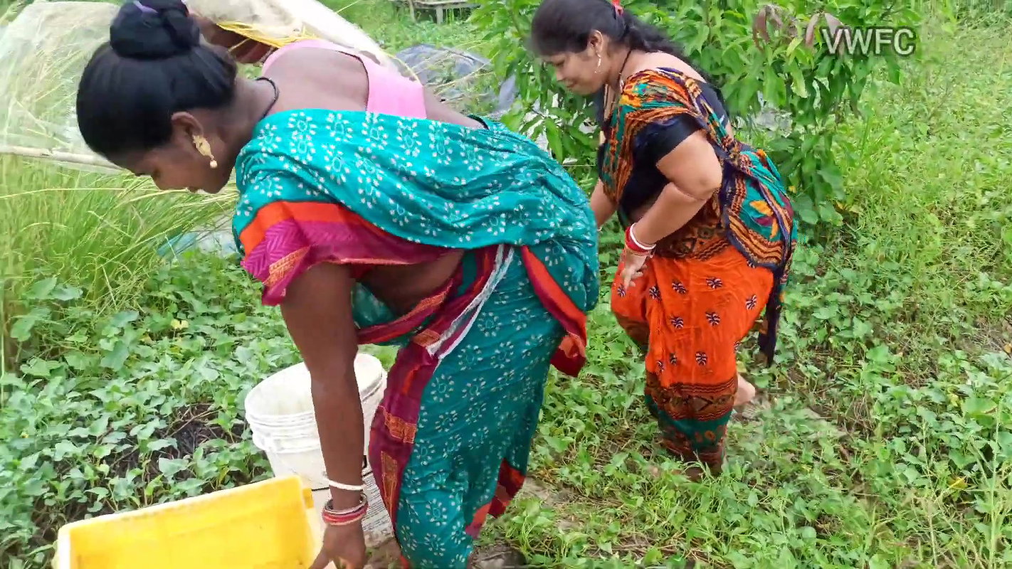 x Traditional Net fishing by Village Women   গ্রামের