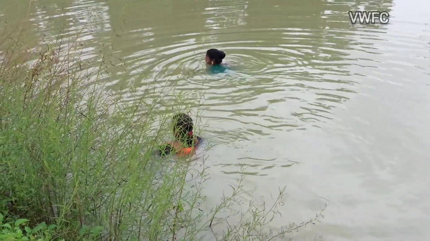 x Traditional Net fishing by Village Women   গ্রামের