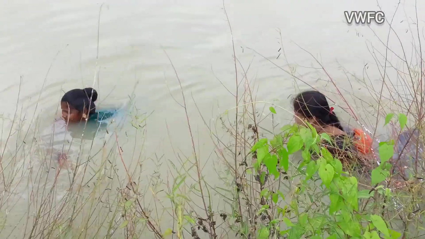 x Traditional Net fishing by Village Women   গ্রামের