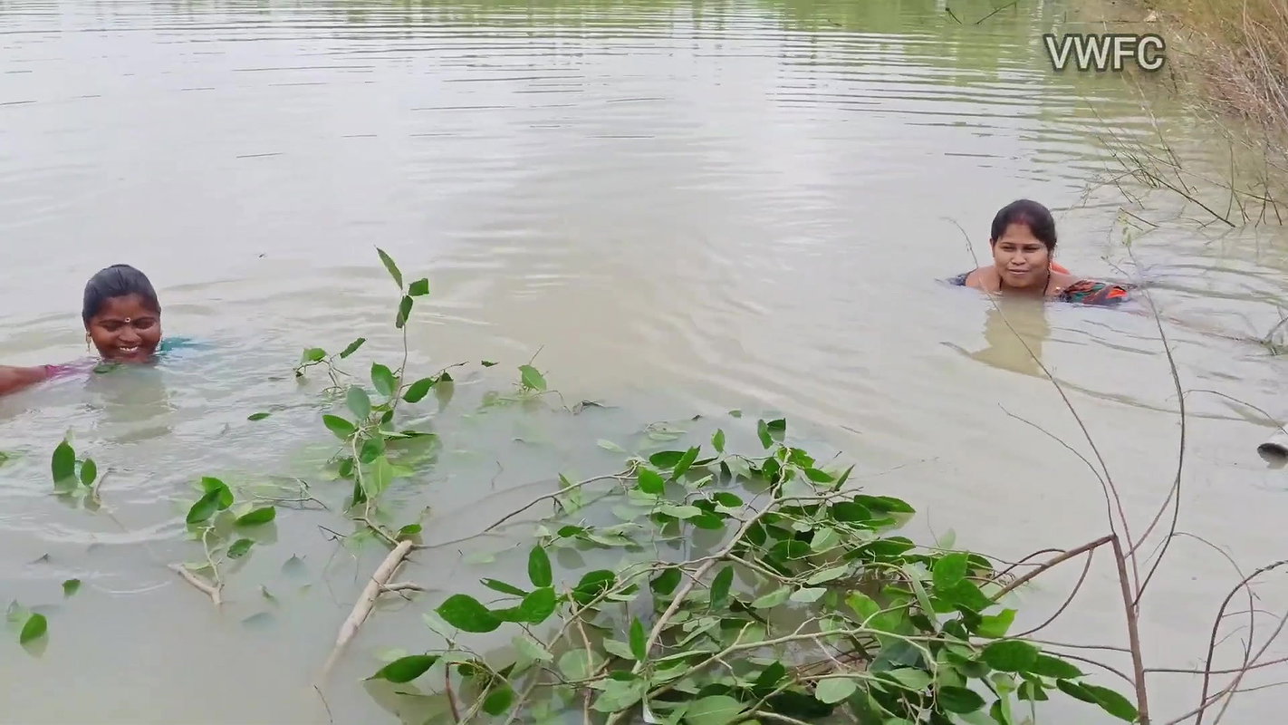 x Traditional Net fishing by Village Women   গ্রামের