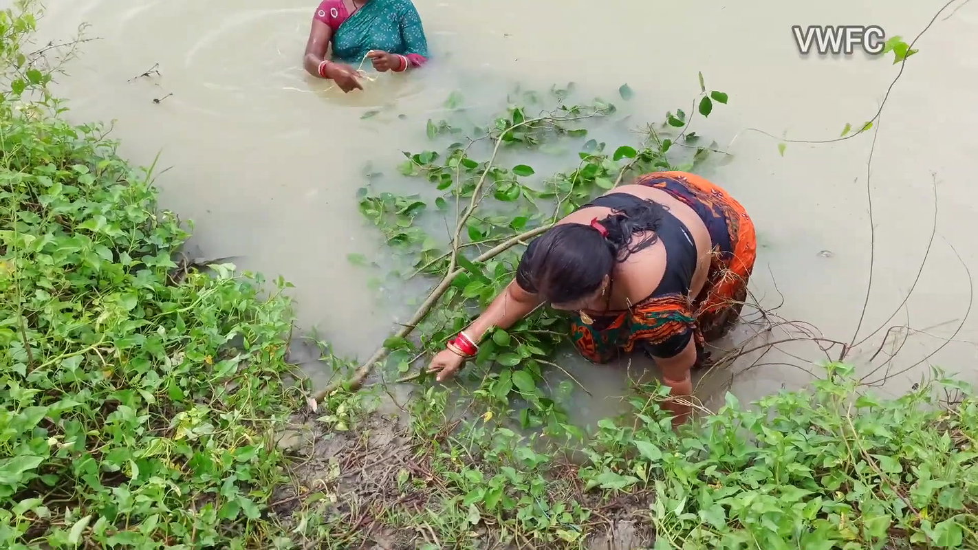 x Traditional Net fishing by Village Women   গ্রামের