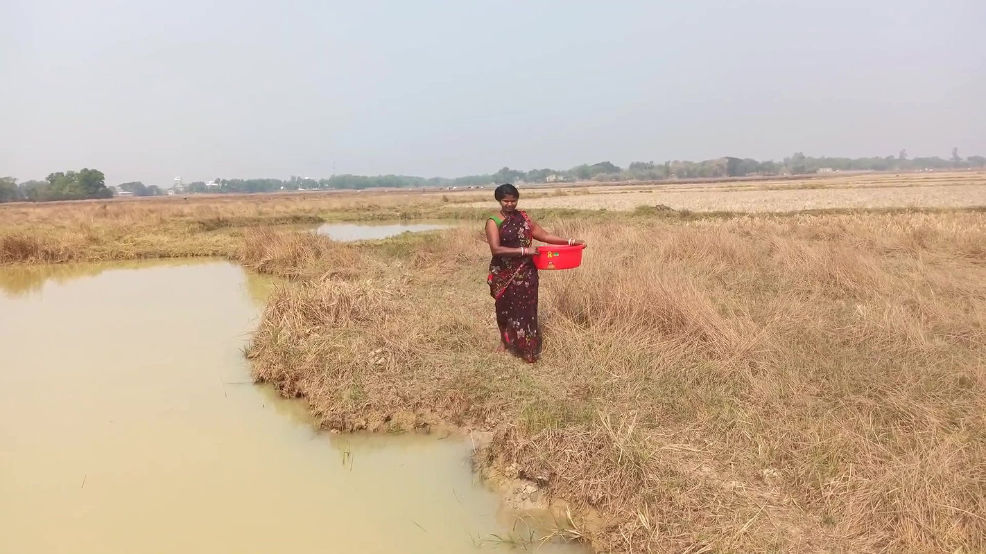 Traditional Village Lady hand fishing   Village fi