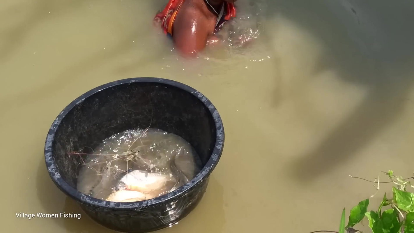 Traditional village women bare hand fishing   Amaz