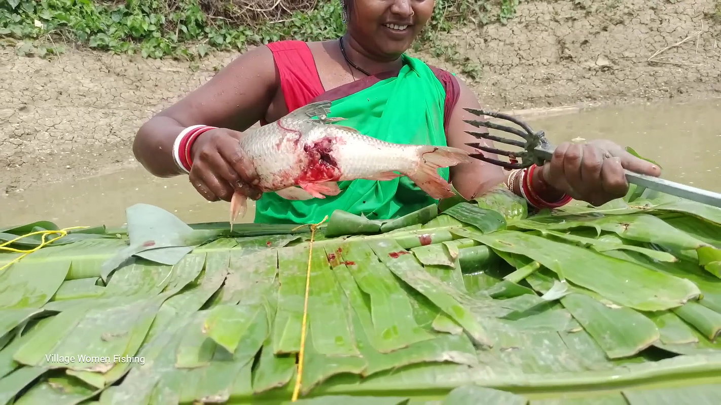 Trident Fishing by village women   Mouni unique fi