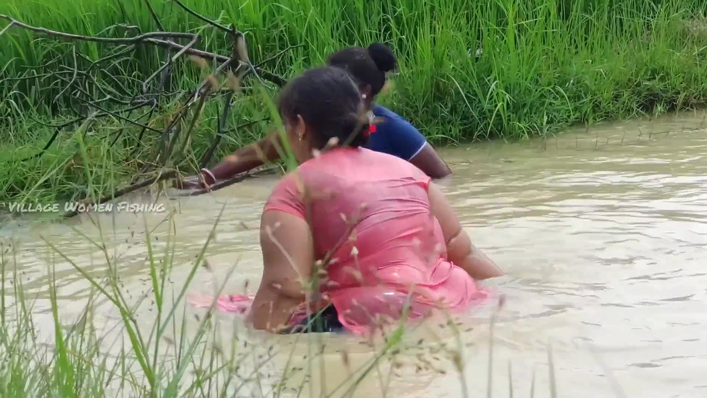 Unbelievable Village women Net fishing for Carp fi