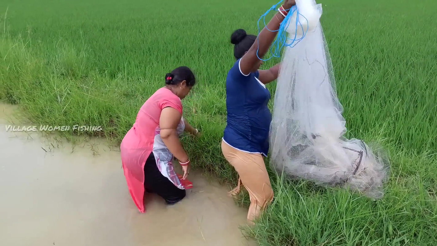 Unbelievable Village women Net fishing for Carp fi