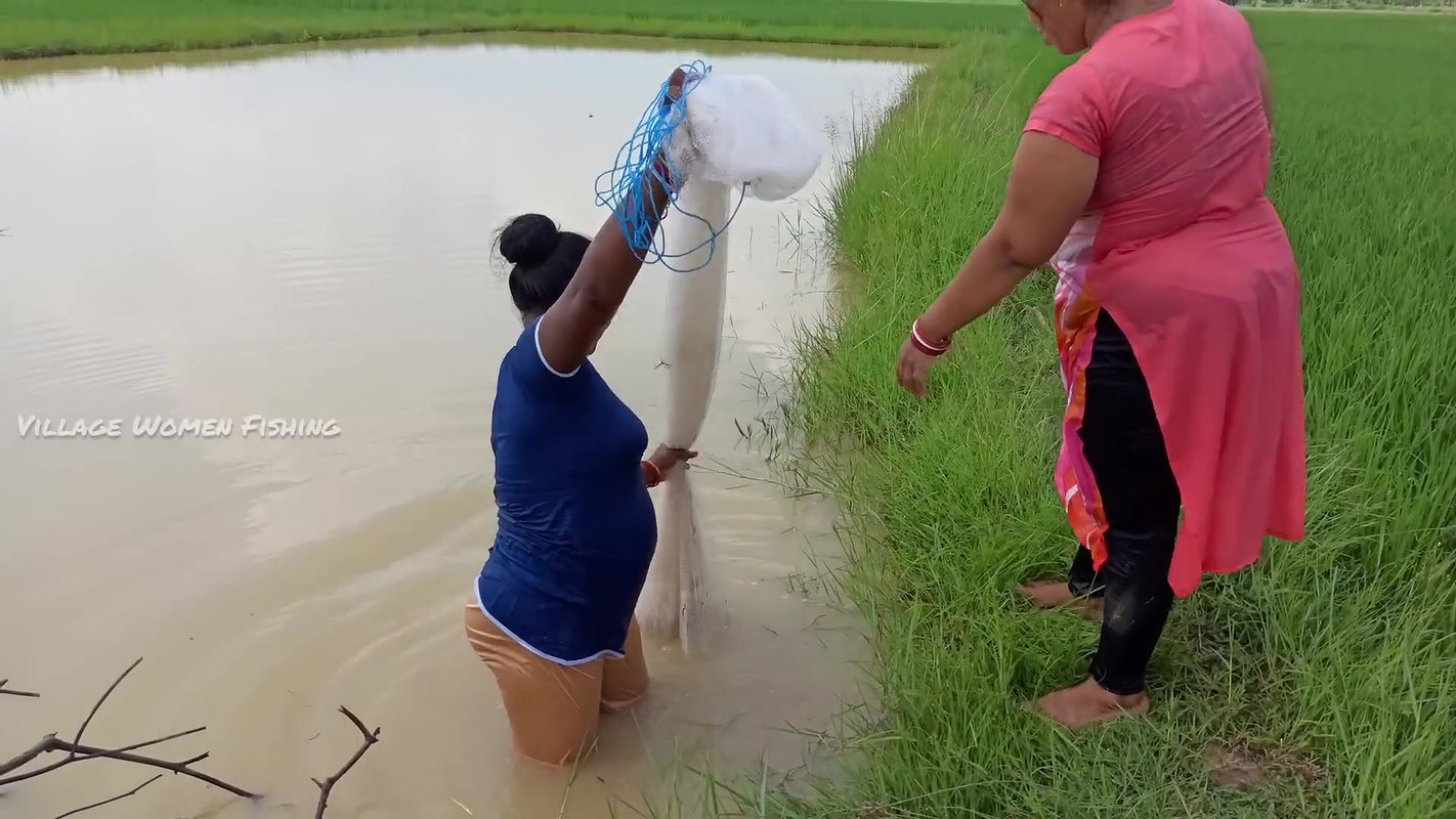 Unbelievable Village women Net fishing for Carp fi