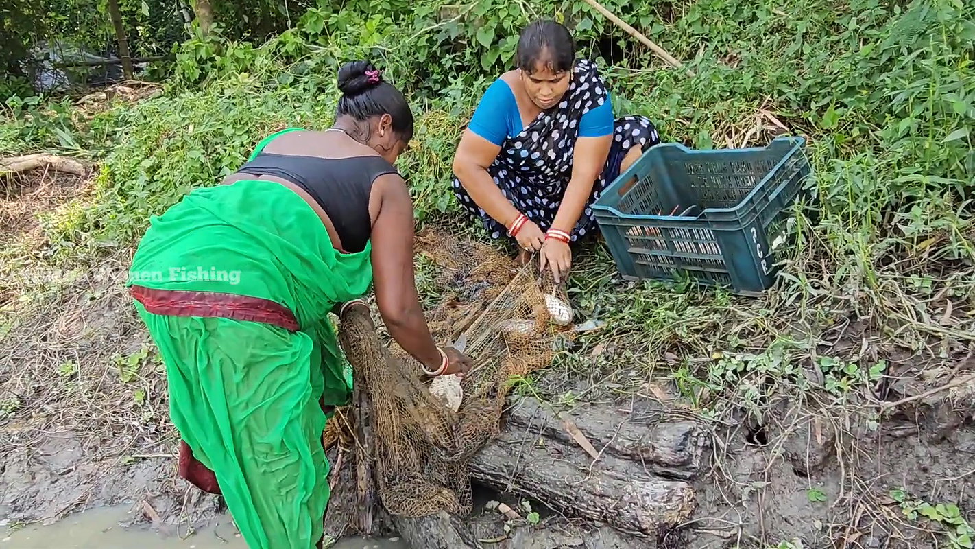 Unbelievable Village Women Net Fishing in mud Wate