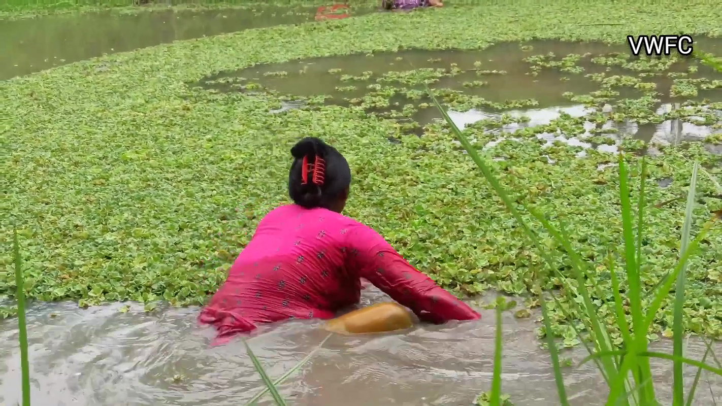 Unique fishing by village women   Mouni fishing