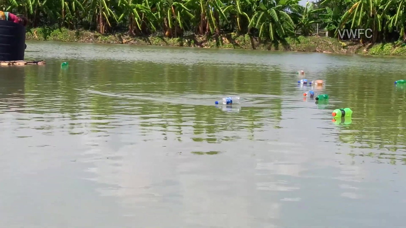 Unique Indian Rural Women Fishing   Best fishing T