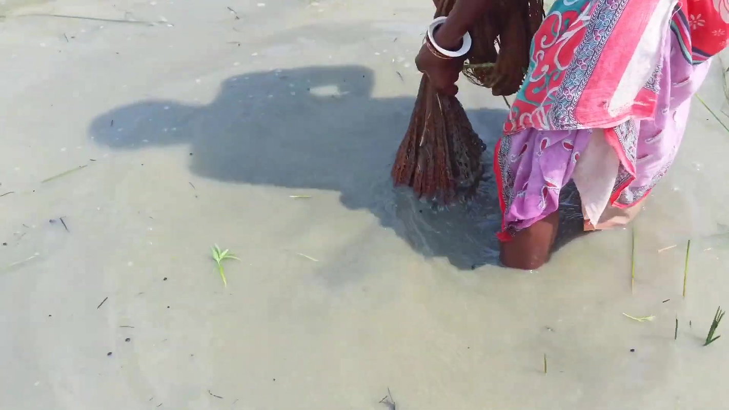 Unique Net Fishing Technique by Indian Women    Su