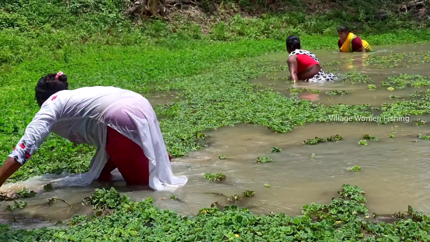 Unique Village women fishing technique   Mud water