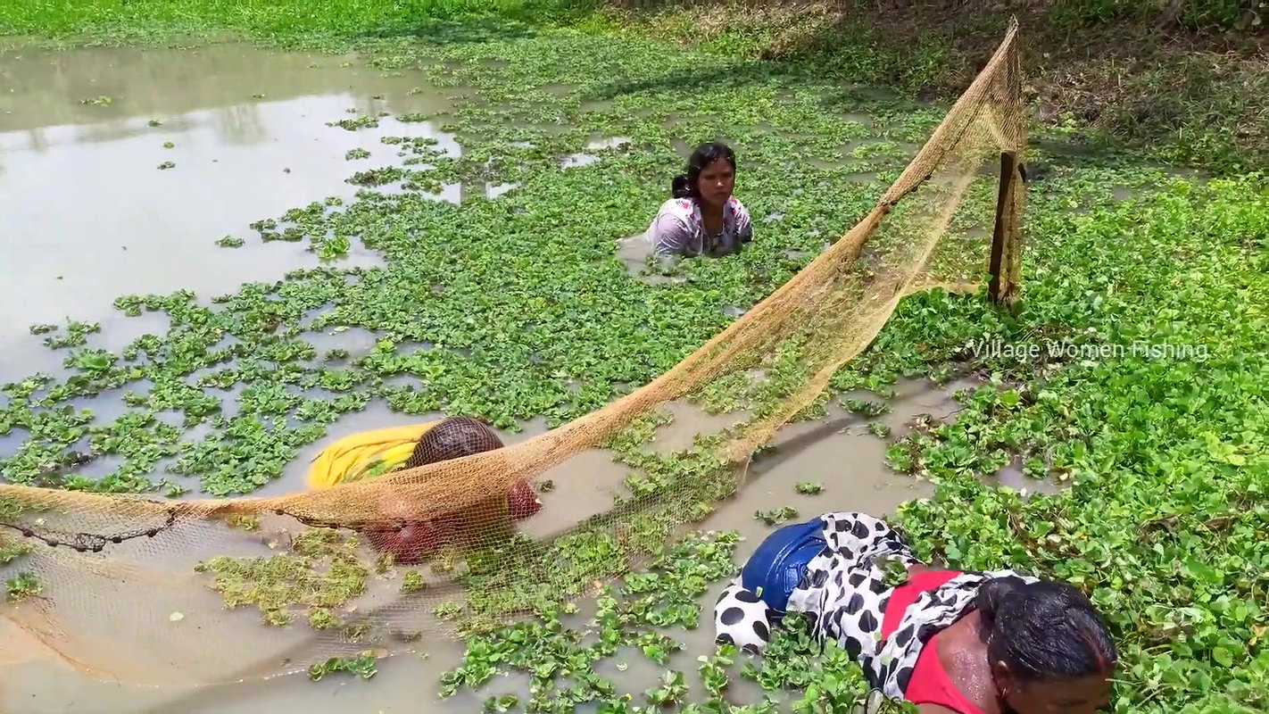 Unique Village women fishing technique   Mud water