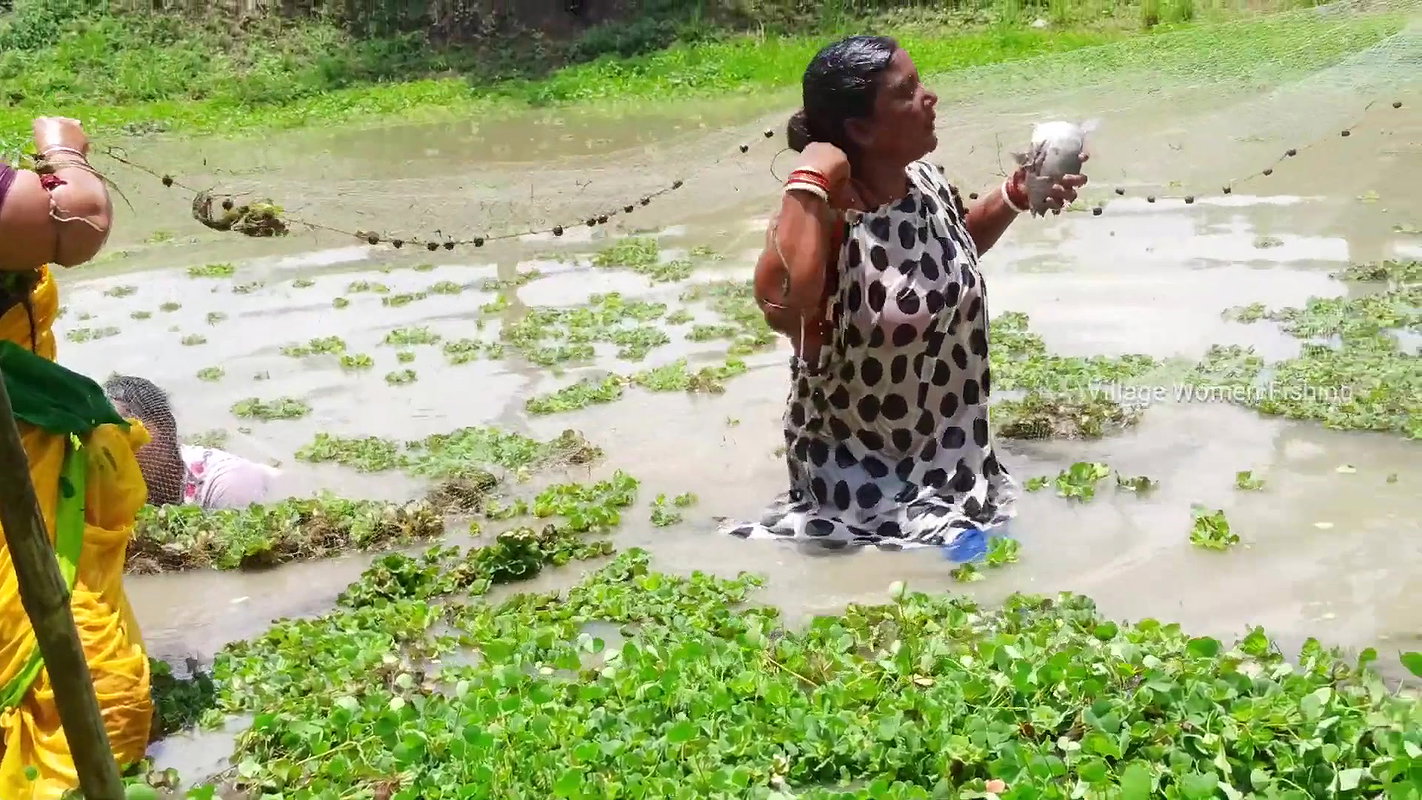 Unique Village women fishing technique   Mud water