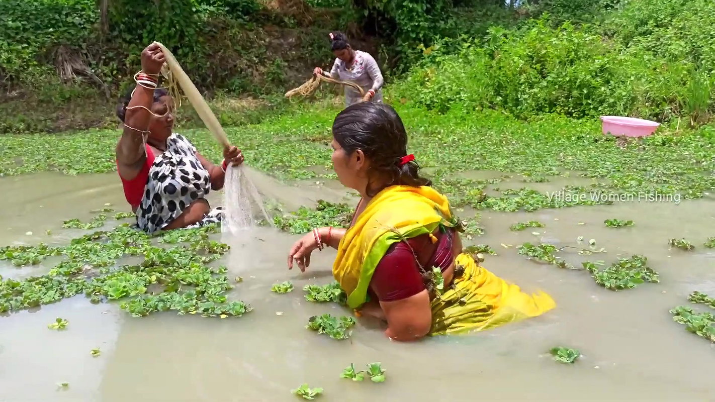 Unique Village women fishing technique   Mud water