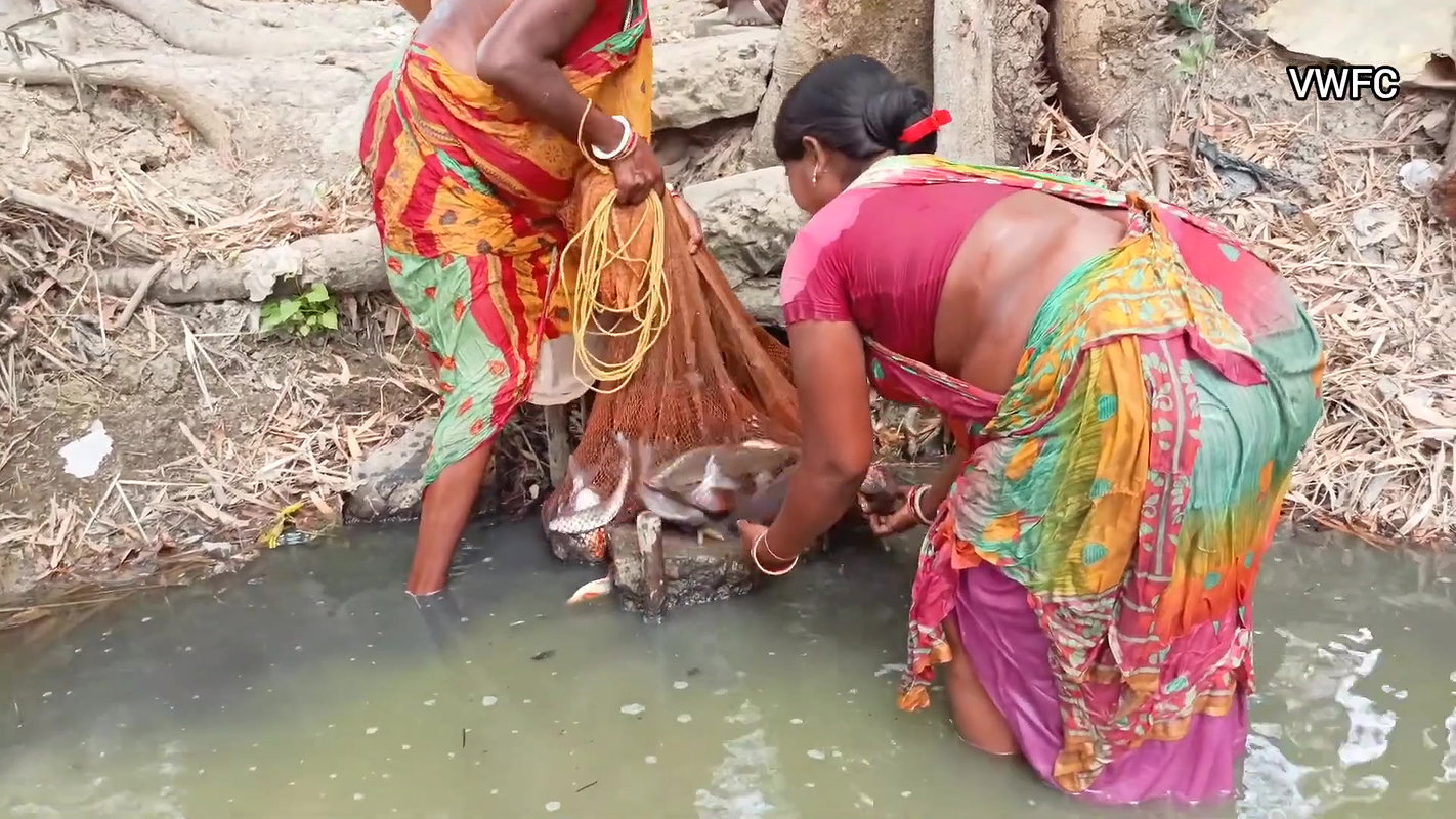 Village Fishing Evolution    Amazing Net Fishing b