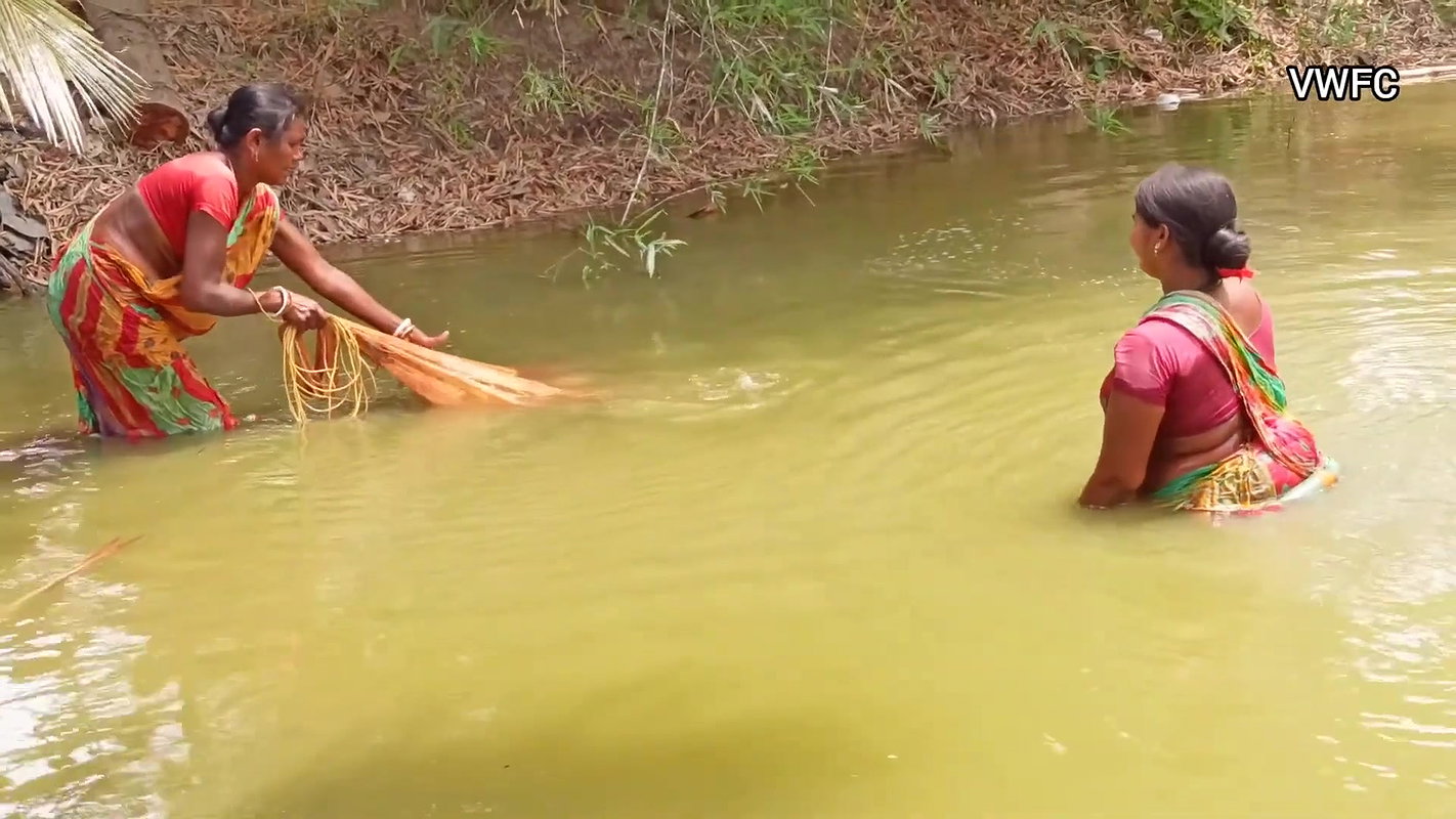 Village Fishing Evolution    Amazing Net Fishing b