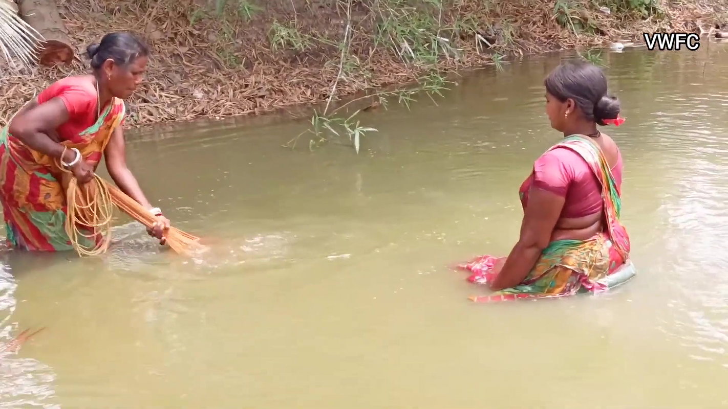 Village Fishing Evolution    Amazing Net Fishing b