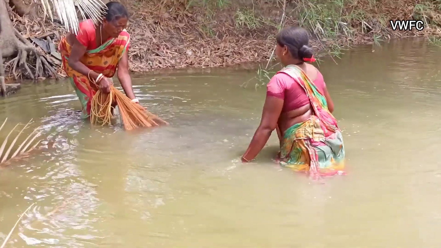 Village Fishing Evolution    Amazing Net Fishing b