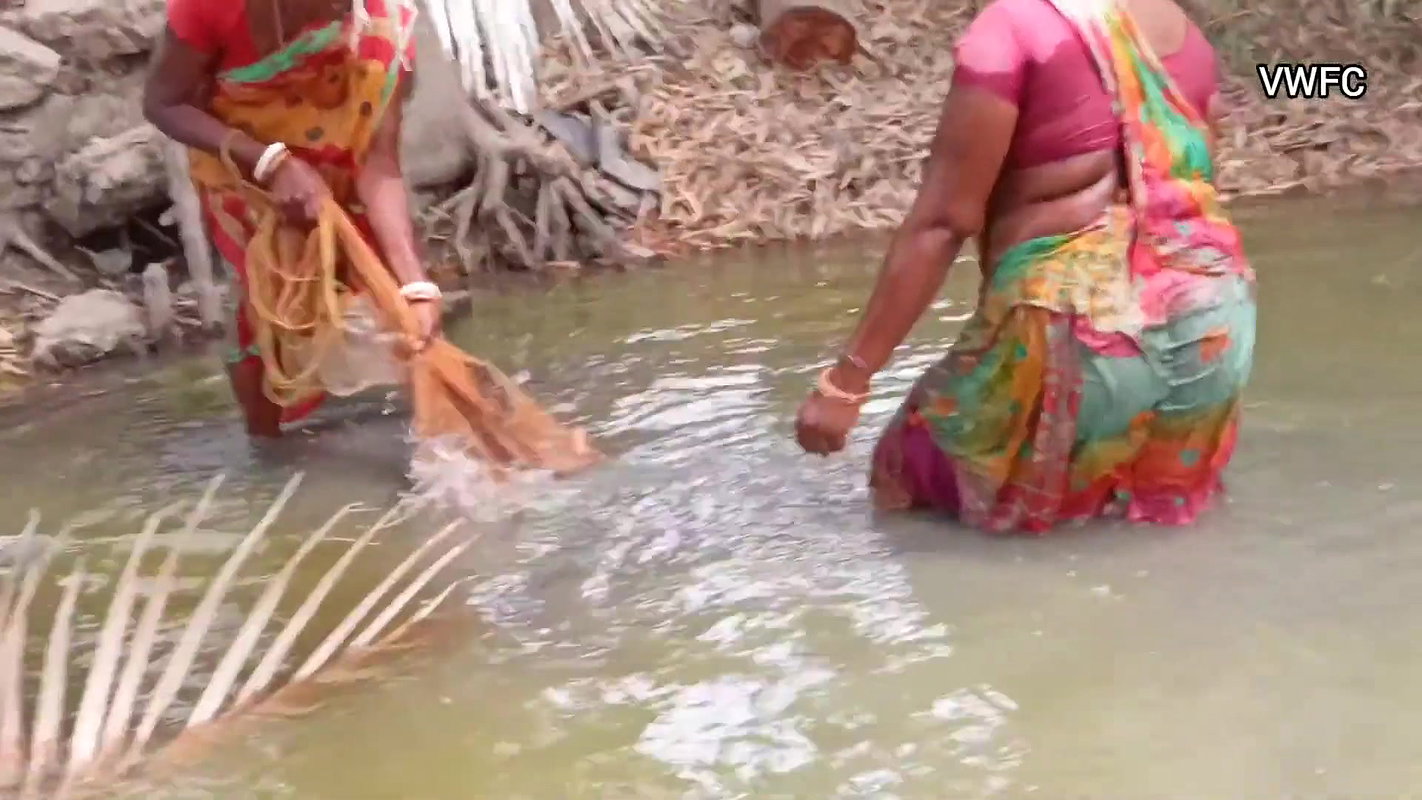 Village Fishing Evolution    Amazing Net Fishing b