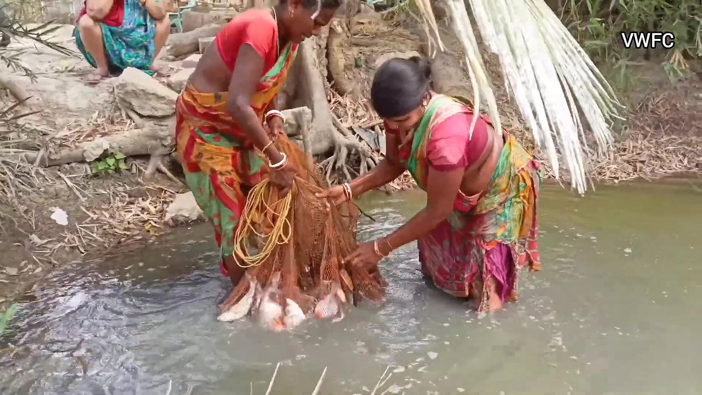 Village Fishing Evolution    Amazing Net Fishing b