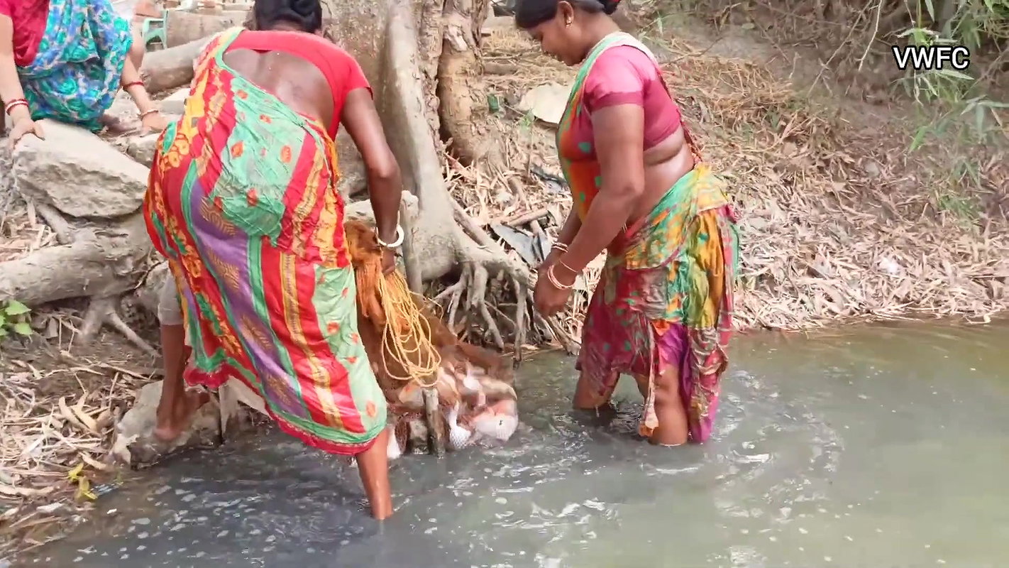 Village Fishing Evolution    Amazing Net Fishing b