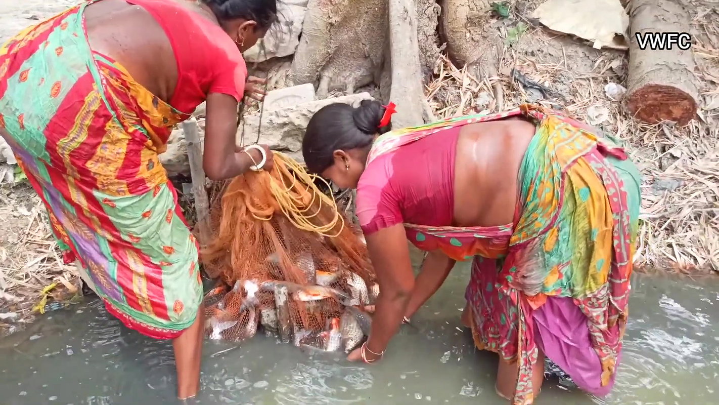 Village Fishing Evolution    Amazing Net Fishing b