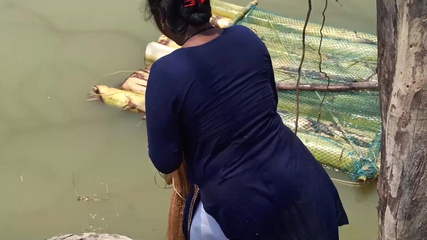Village Lady Amazing Net fishing    Net Casting vi