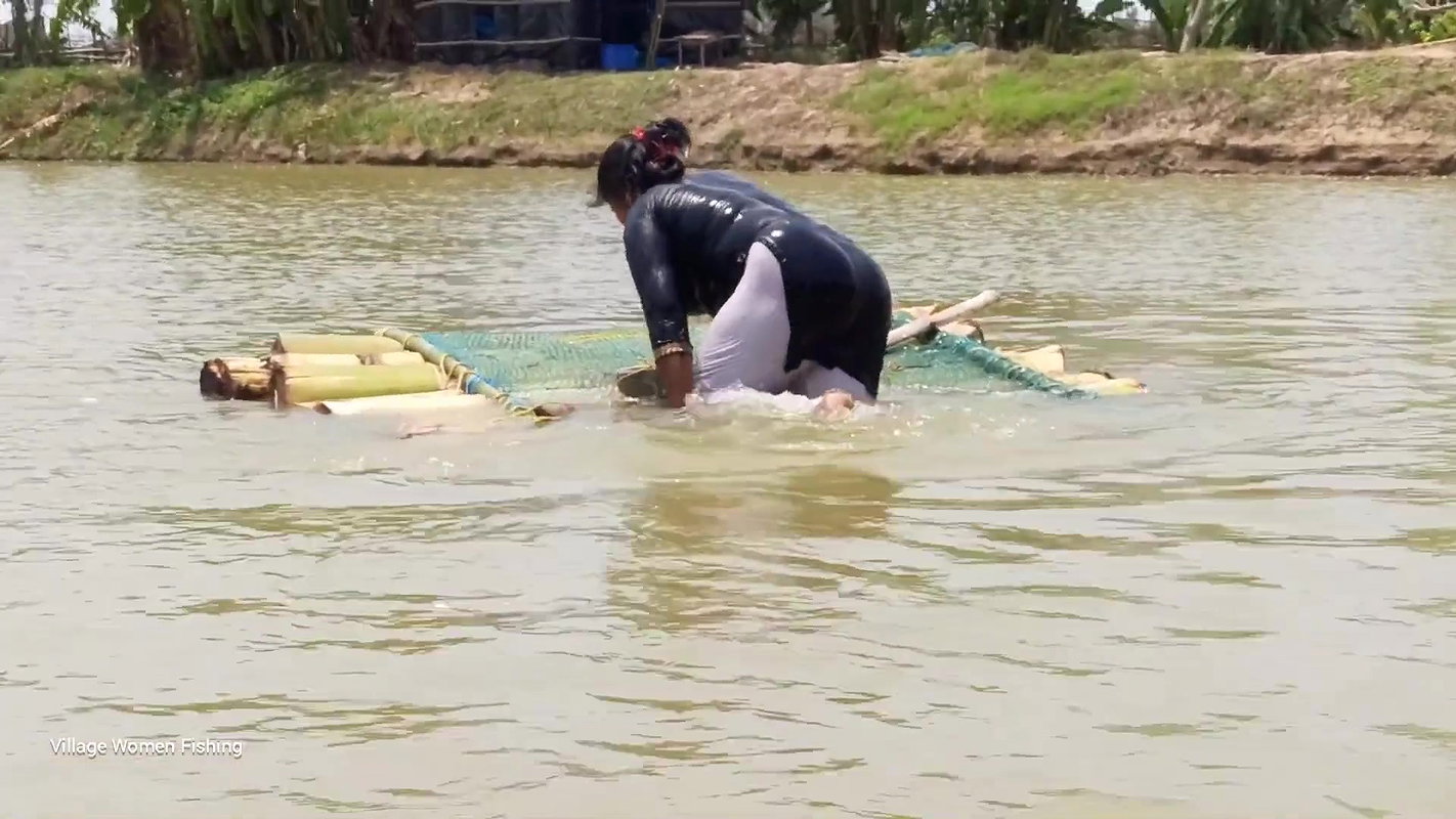 Village Lady Amazing Net fishing    Net Casting vi