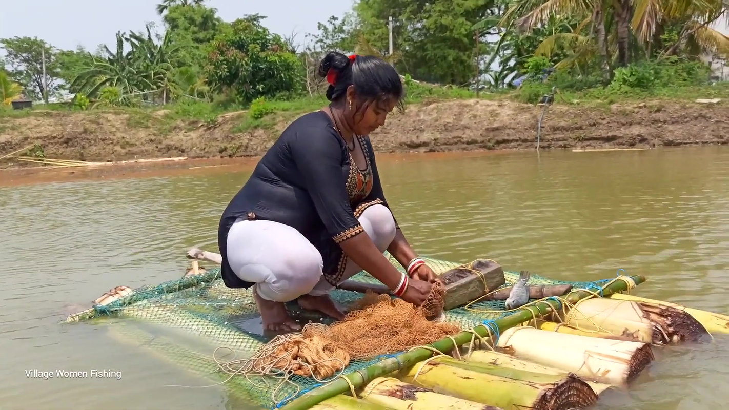 Village Lady Amazing Net fishing    Net Casting vi