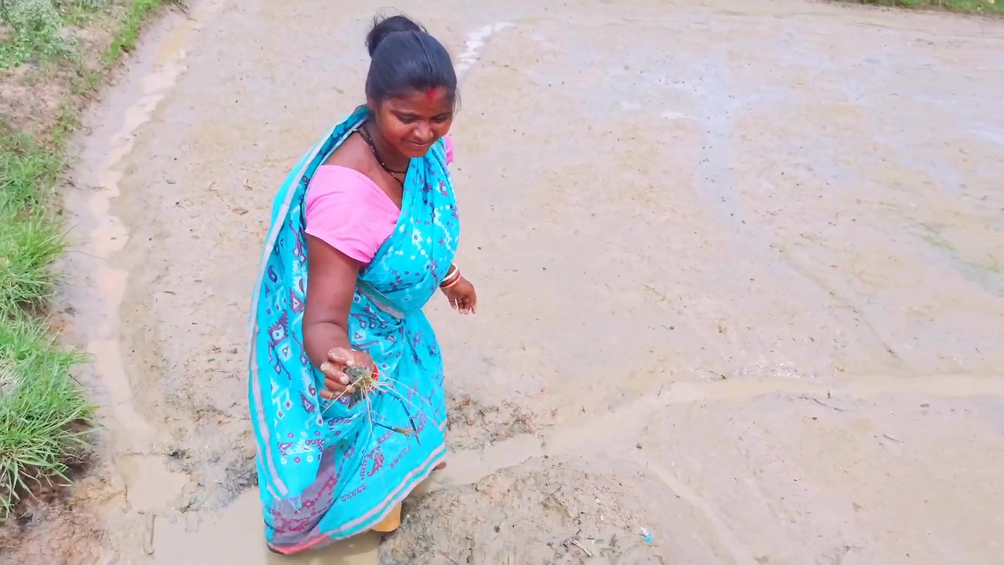 Village Paddy Farming and Fishing  Village woman F