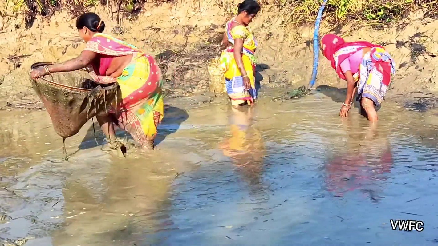 Village Women Amazing Hand Fishing in Mud Water