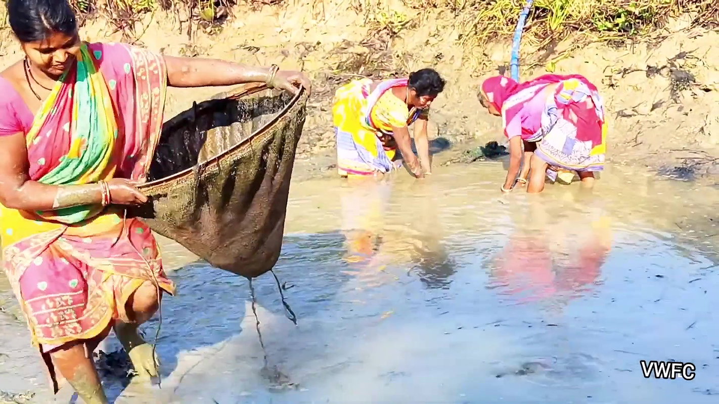 Village Women Amazing Hand Fishing in Mud Water