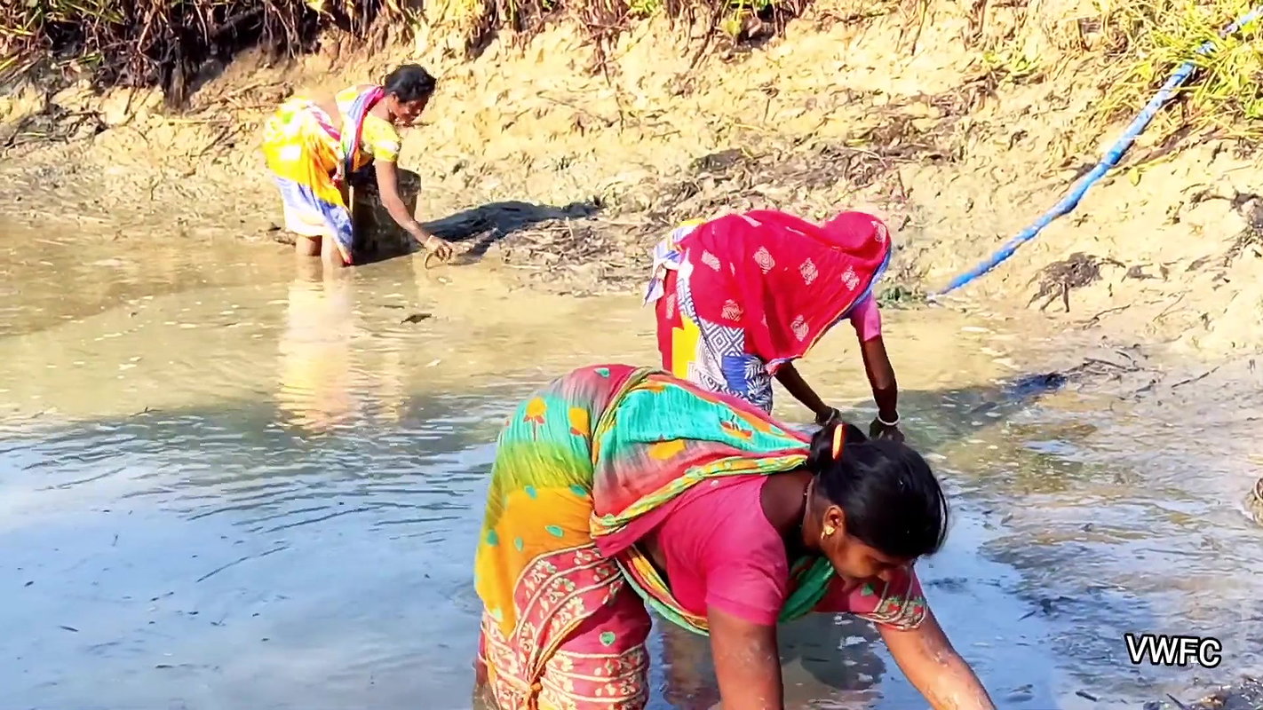Village Women Amazing Hand Fishing in Mud Water
