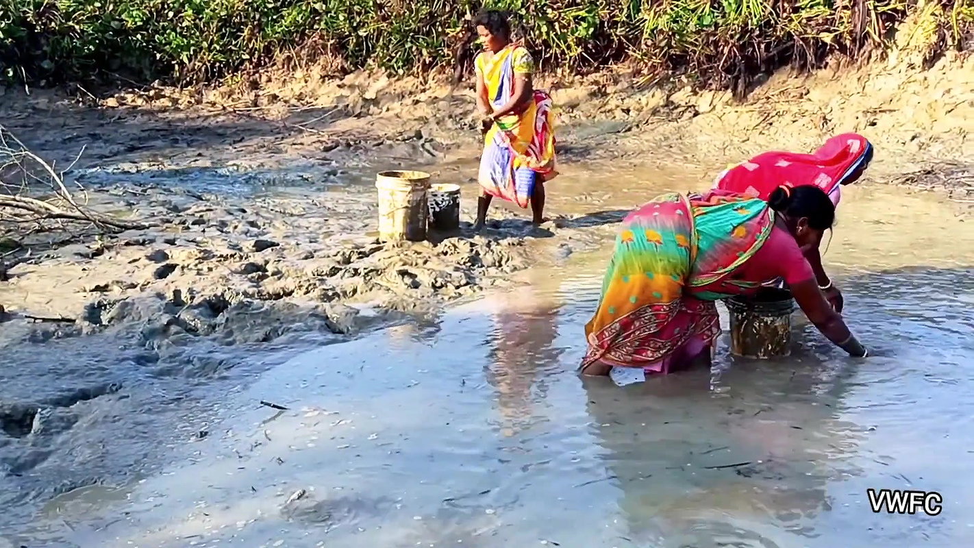 Village Women Amazing Hand Fishing in Mud Water