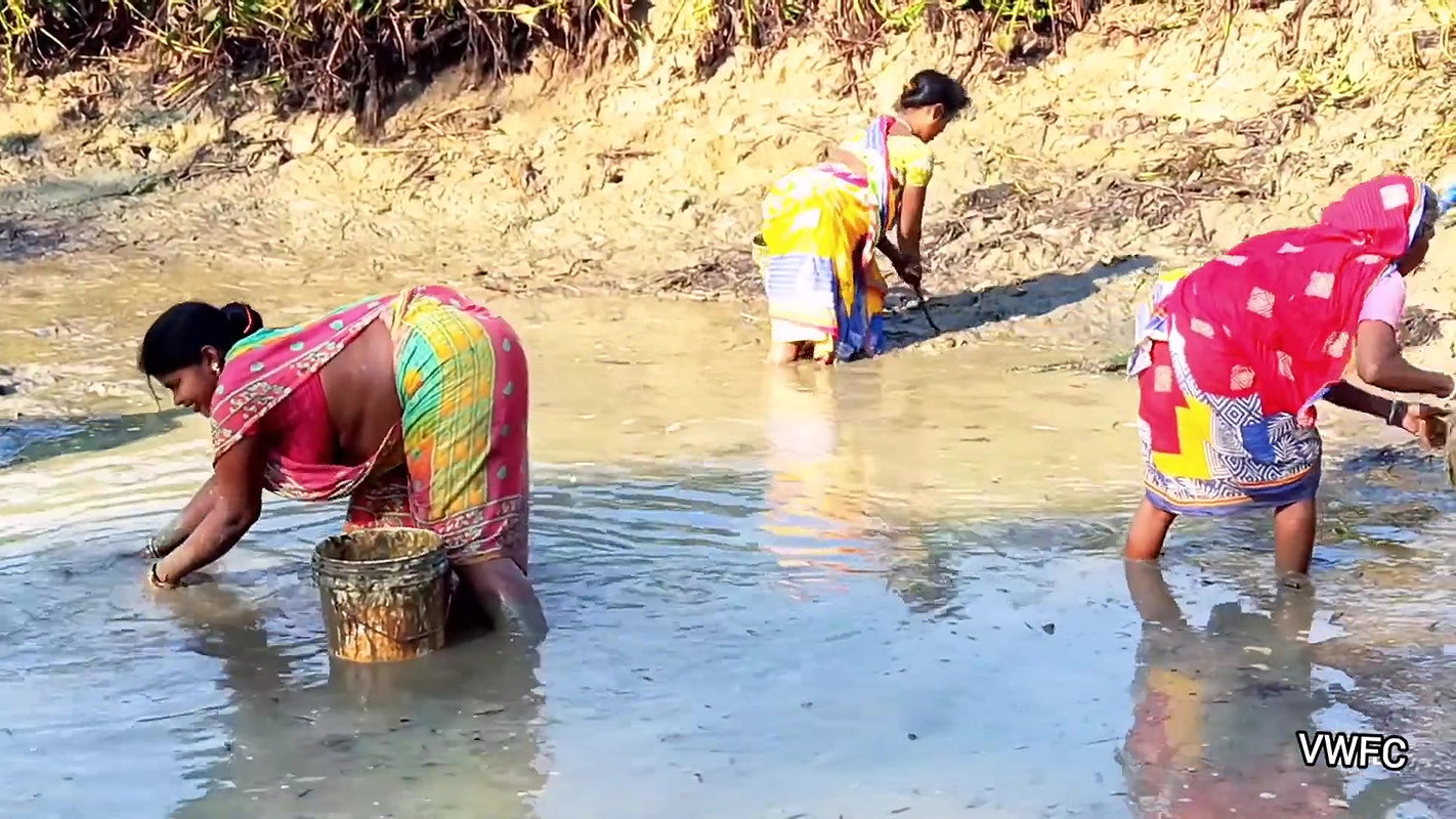 Village Women Amazing Hand Fishing in Mud Water