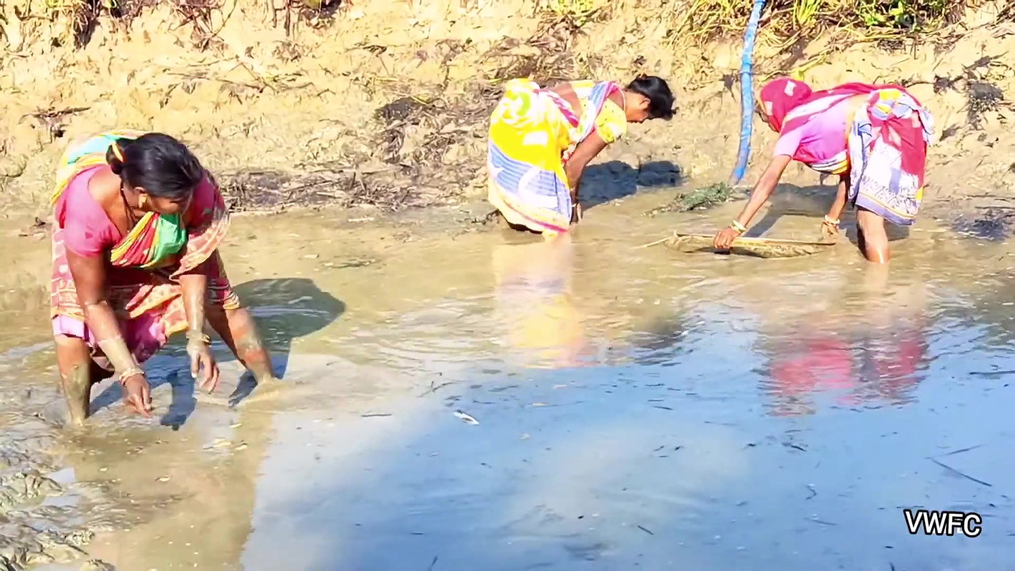 Village Women Amazing Hand Fishing in Mud Water