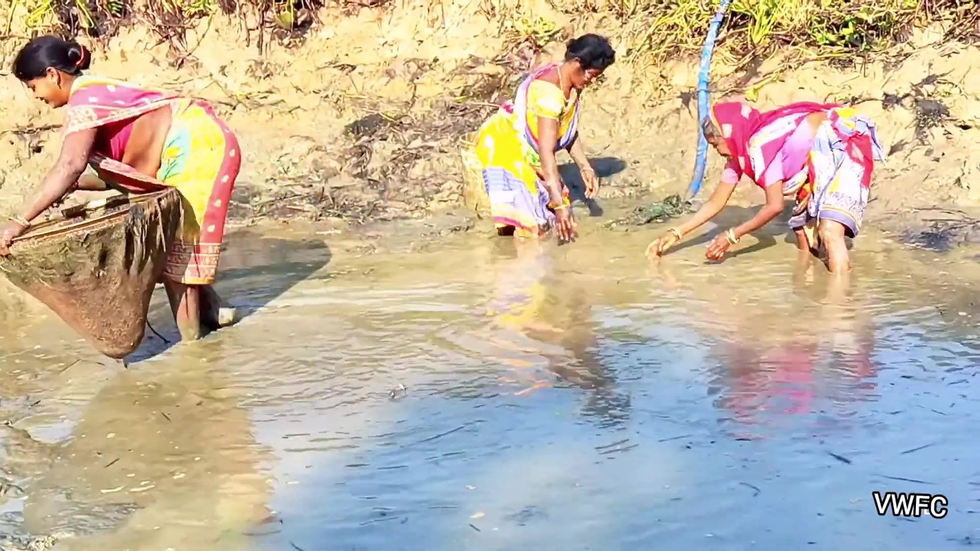 Village Women Amazing Hand Fishing in Mud Water