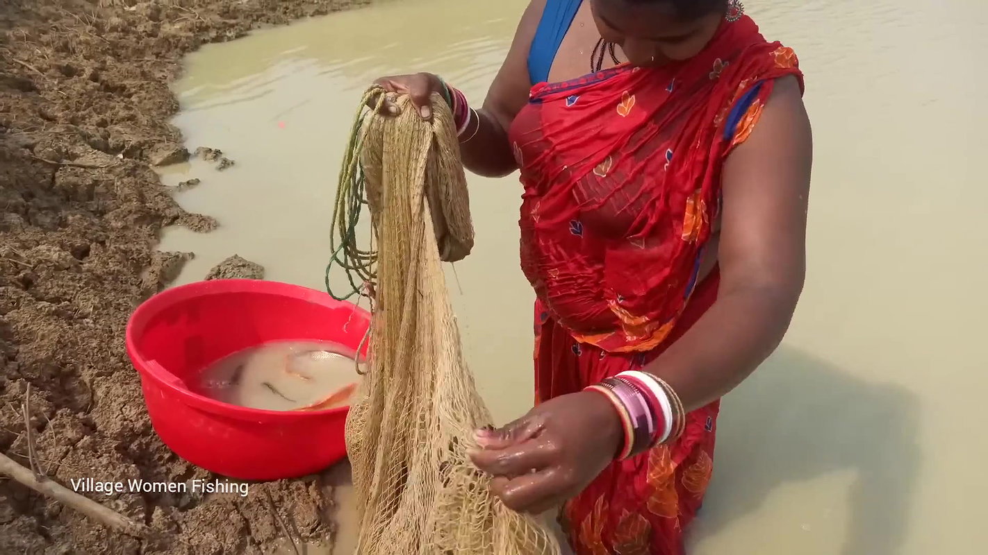 Village women catching lots of fish from Mud water