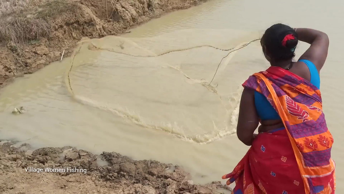 Village women catching lots of fish from Mud water