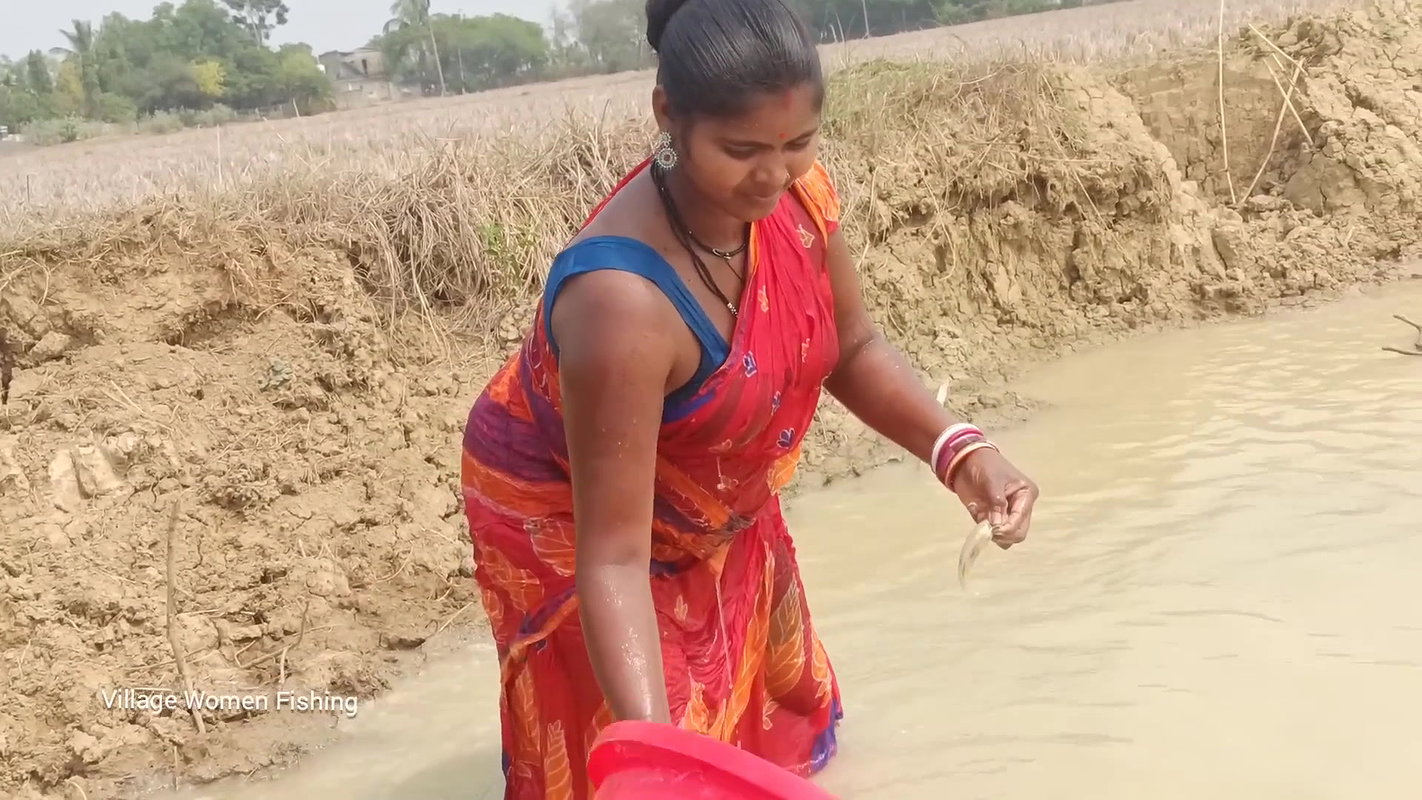 Village women catching lots of fish from Mud water