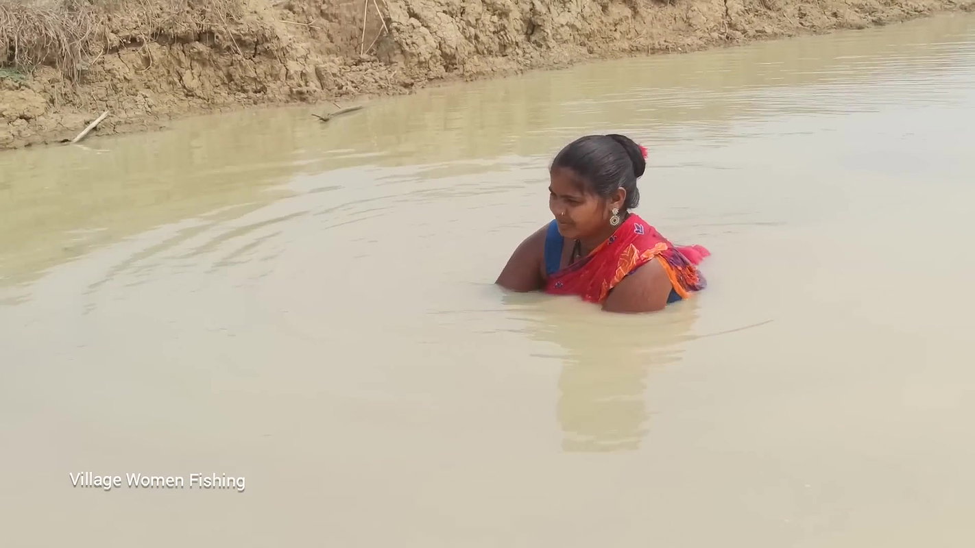 Village women catching lots of fish from Mud water