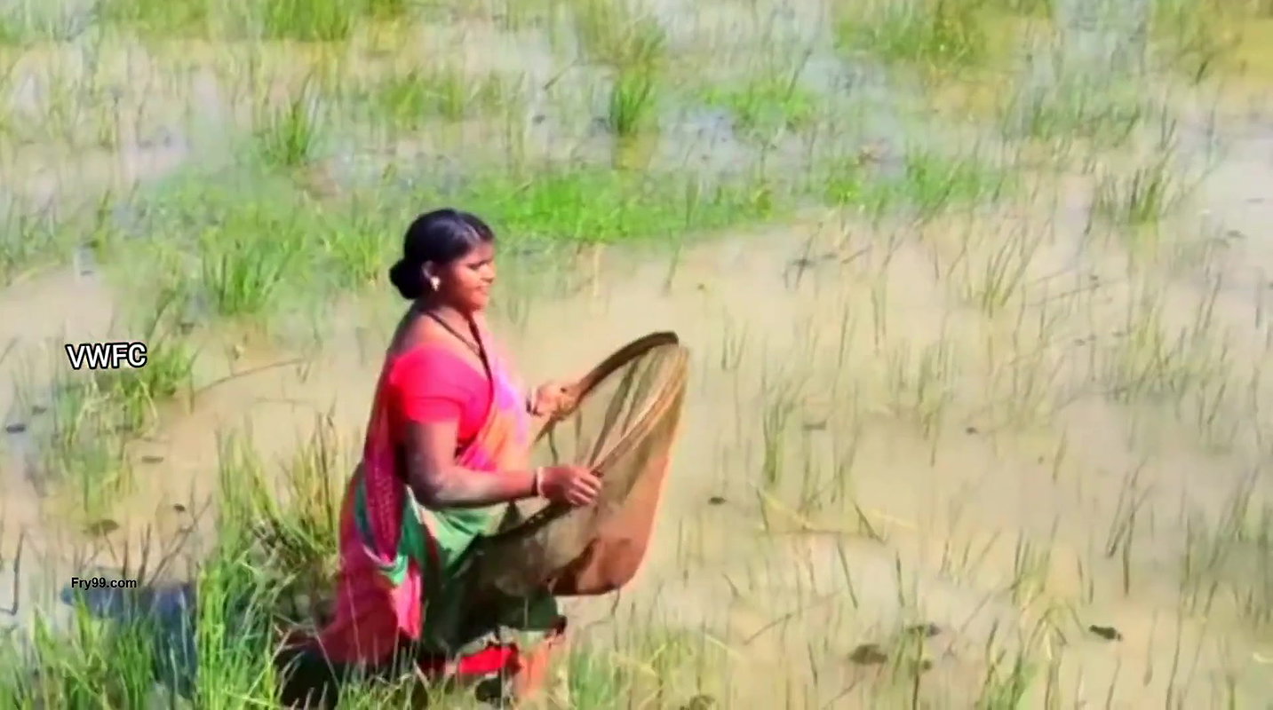Village Women Caught a Huge Turtle