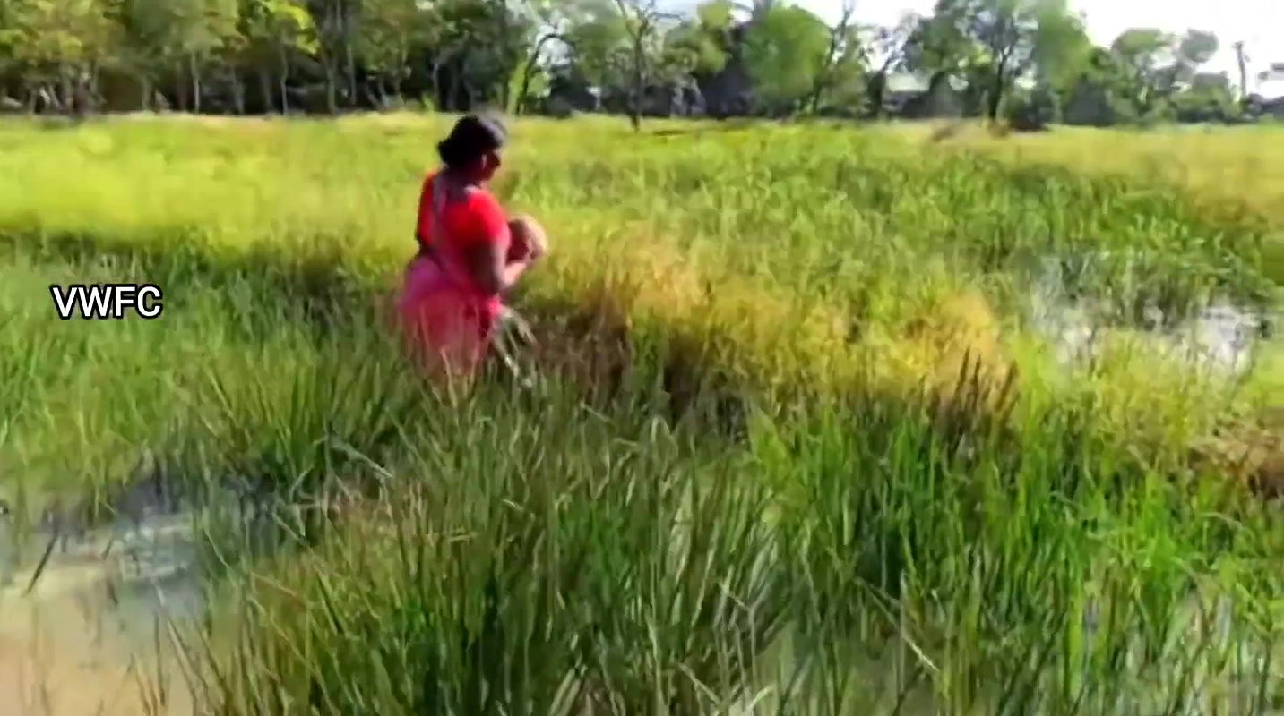 Village Women Caught a Huge Turtle