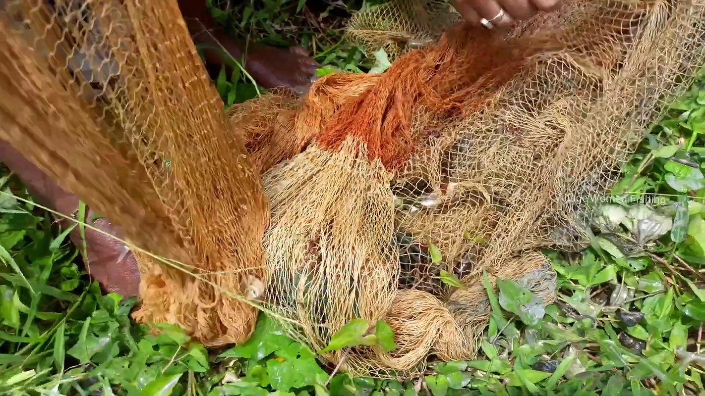 Village women fishing channels    Village women Ne