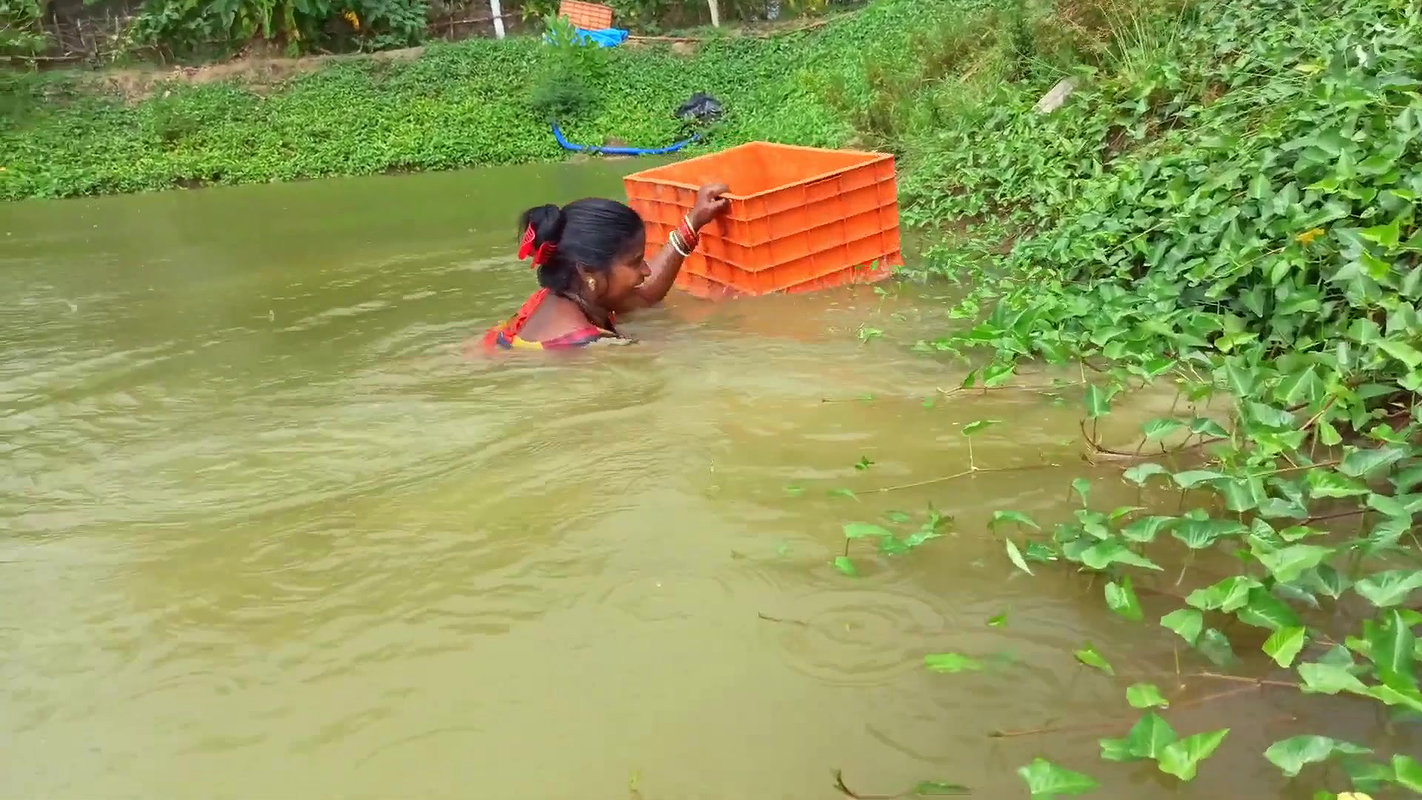 Village Women Fishing in Rain    Prawns Fishing in