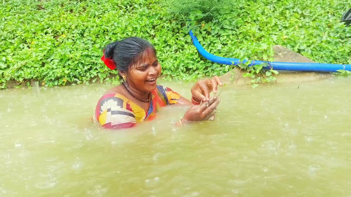 Village Women Fishing in Rain    Prawns Fishing in