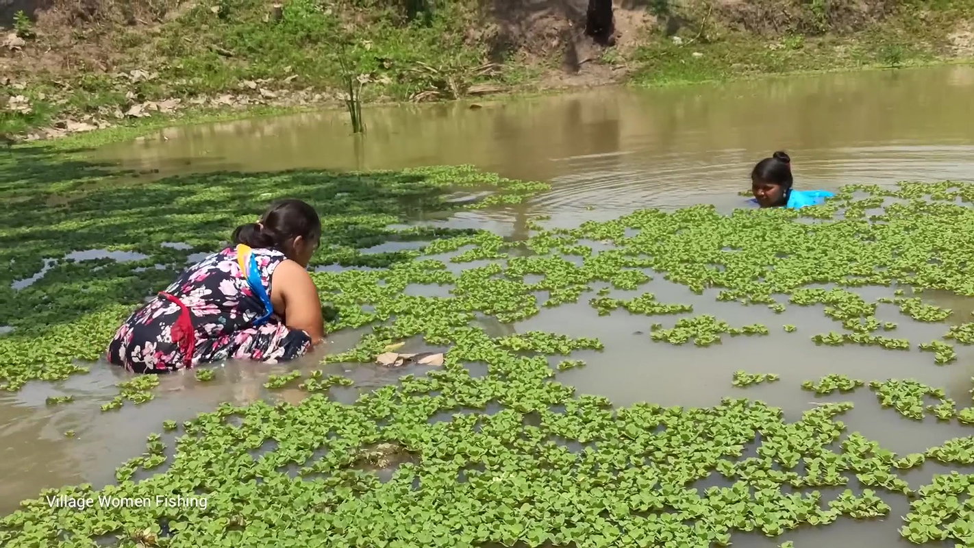 Village women fishing video   Amazing Mouni fishin